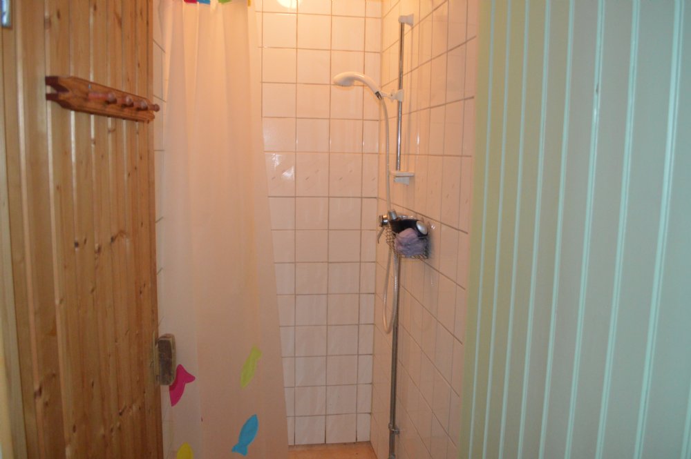 Sauna/ shower in basement 