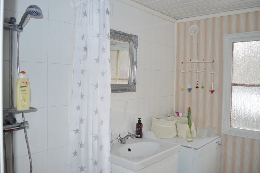 Badrum med dusch och wc/ Bathroom with shower and wc 