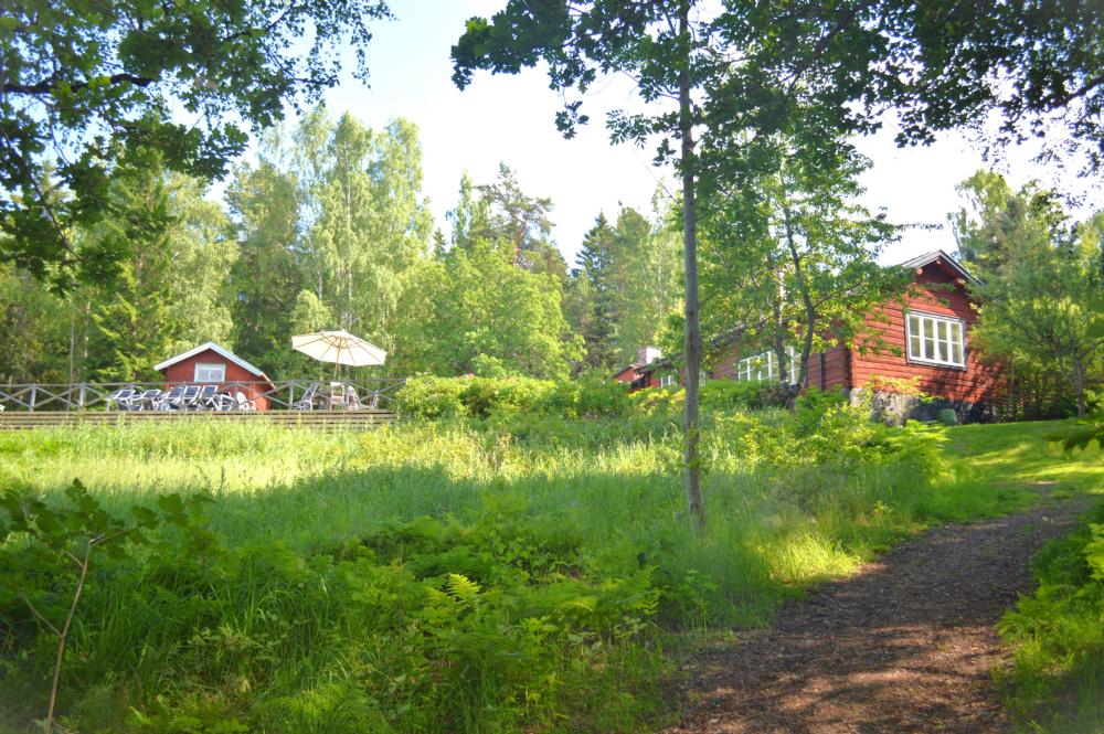 Stigen ner till brygga och bastu/ path to sauna and jetty