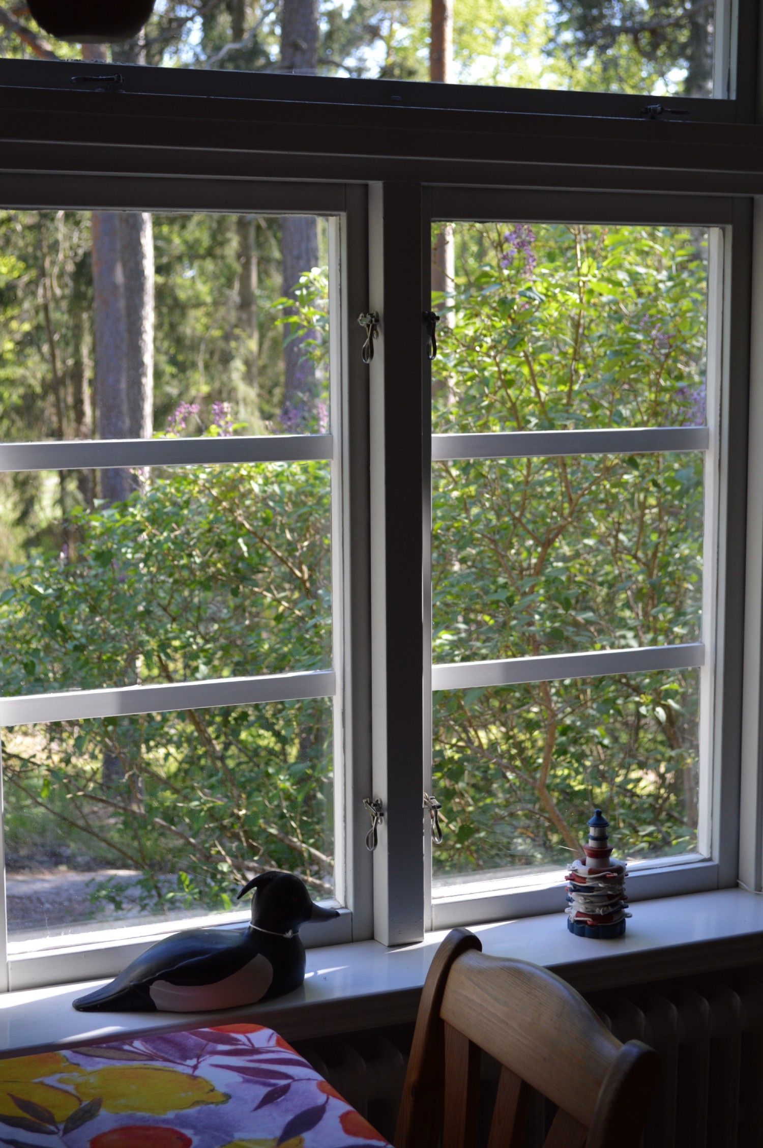 Kksfnster vy/ Kitchen window view 