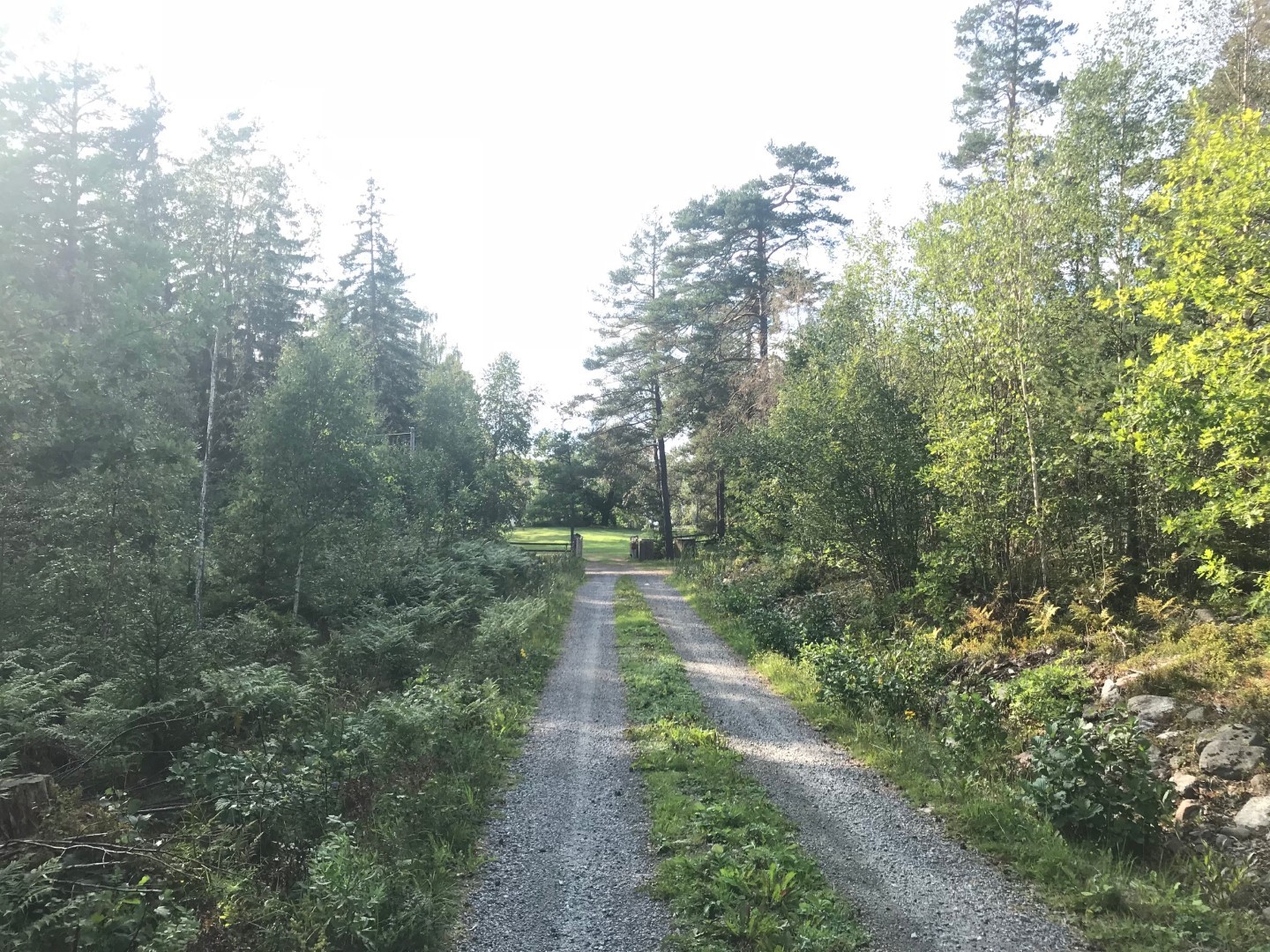 Vägen fram till tomten