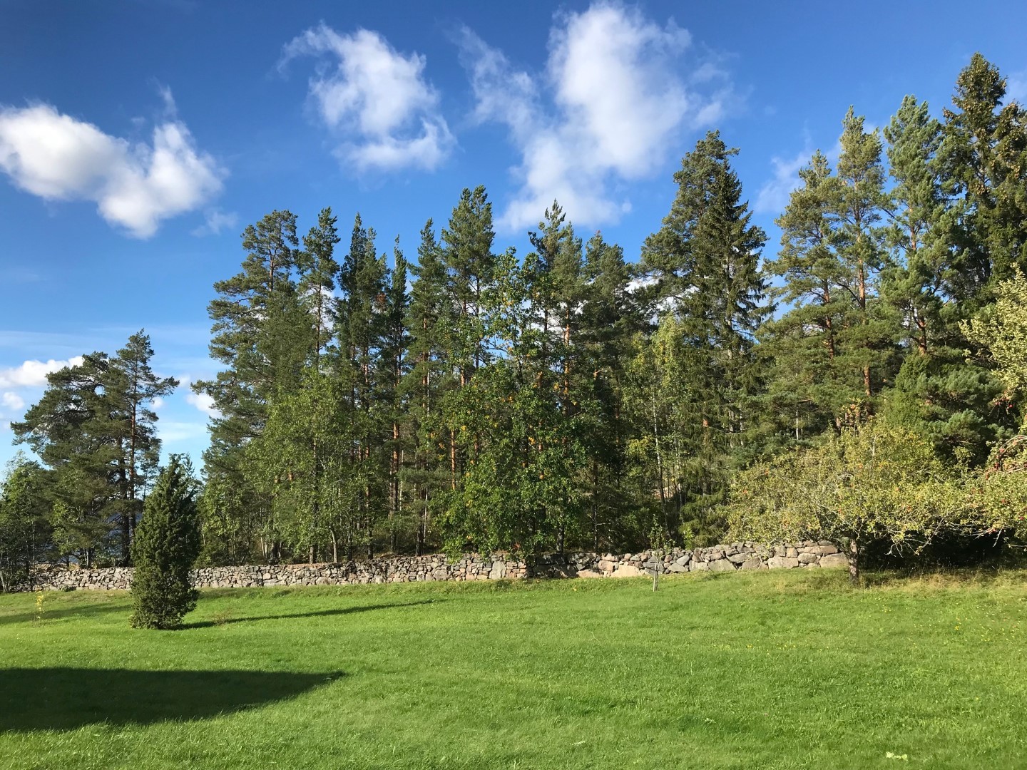 Stenmuren i tomtgränsen