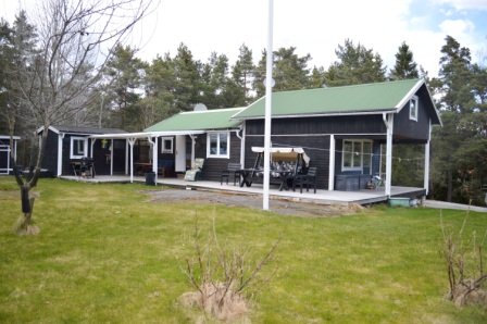 Trädgård/ Garden