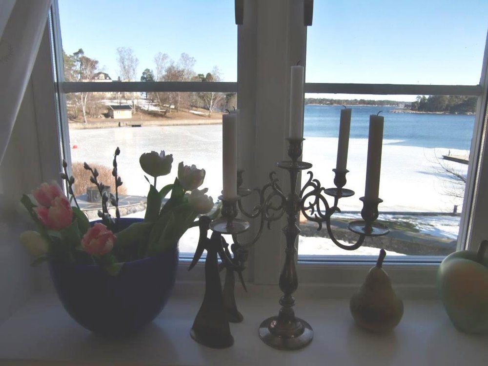 vardagsrum fönster/ living room window