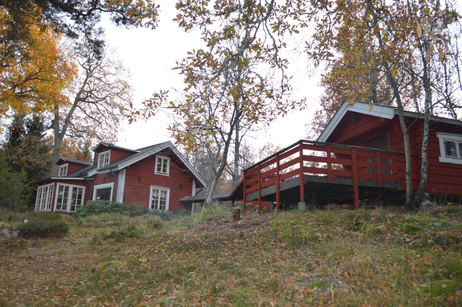 Huvudhus och gststuga/ Main house and guest house 