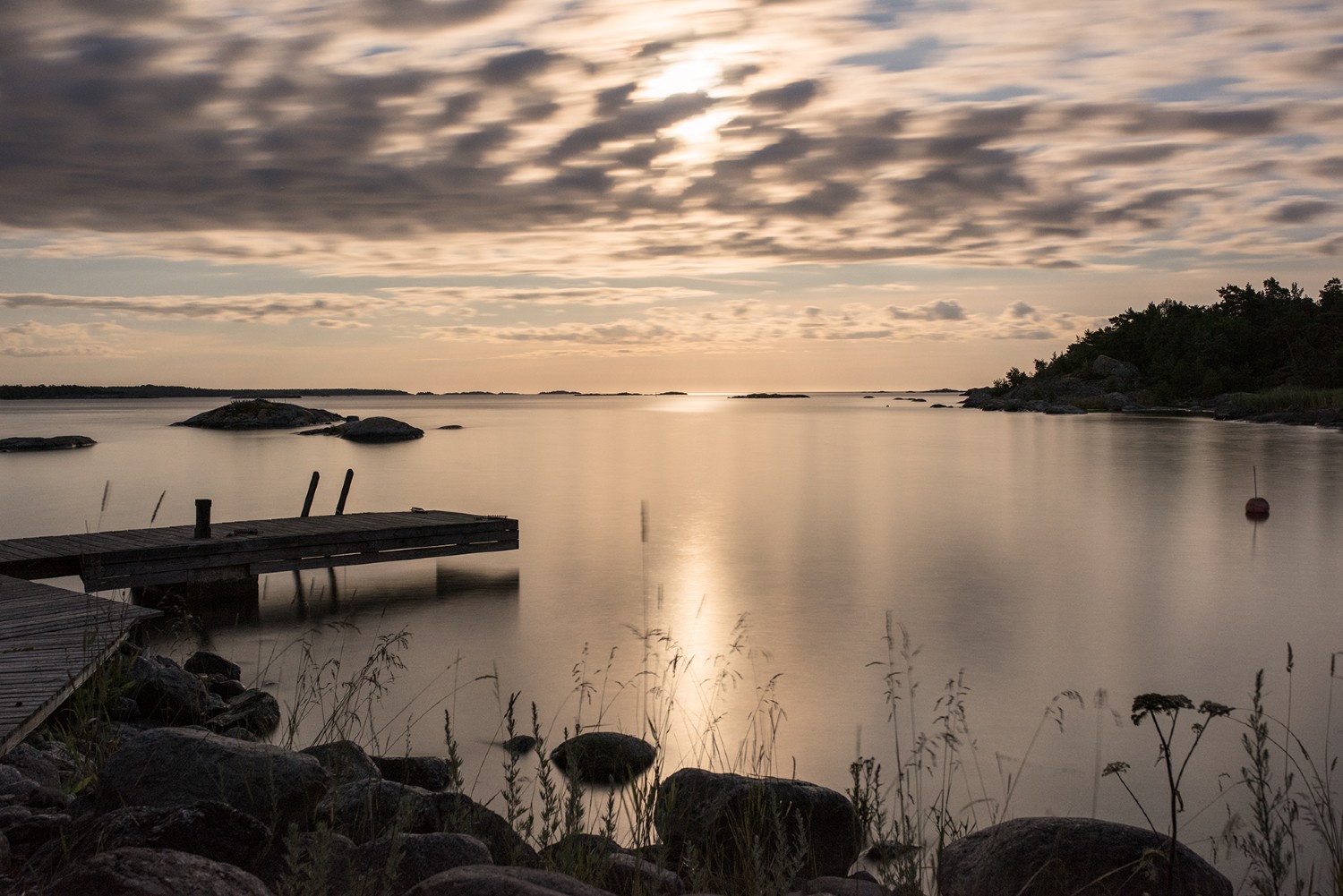 Kvällssol/ Evening sun