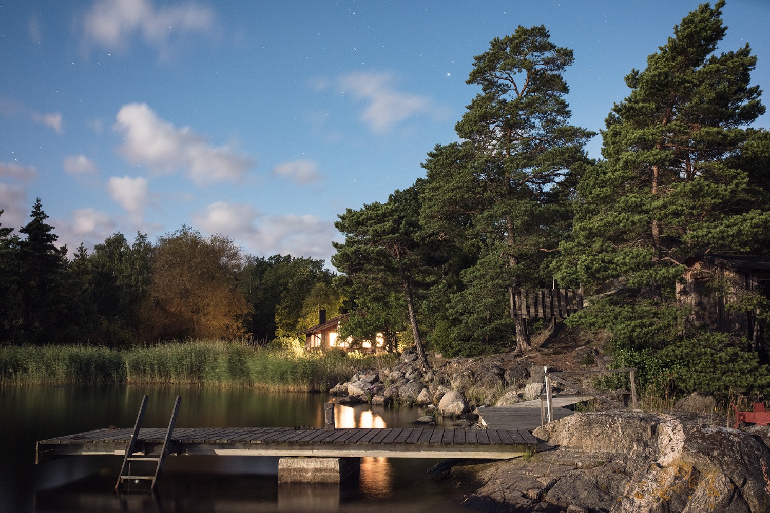 Kvällssol/ Evening sun