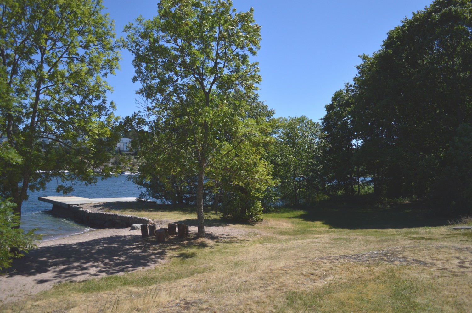 Tomten nedan huset/ Plot of land below the house 