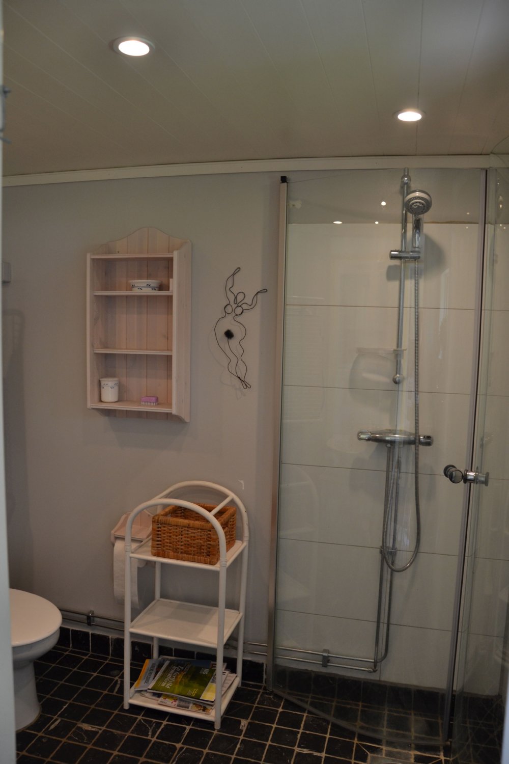 Badrum med dusch och wc/ Shower and WC
