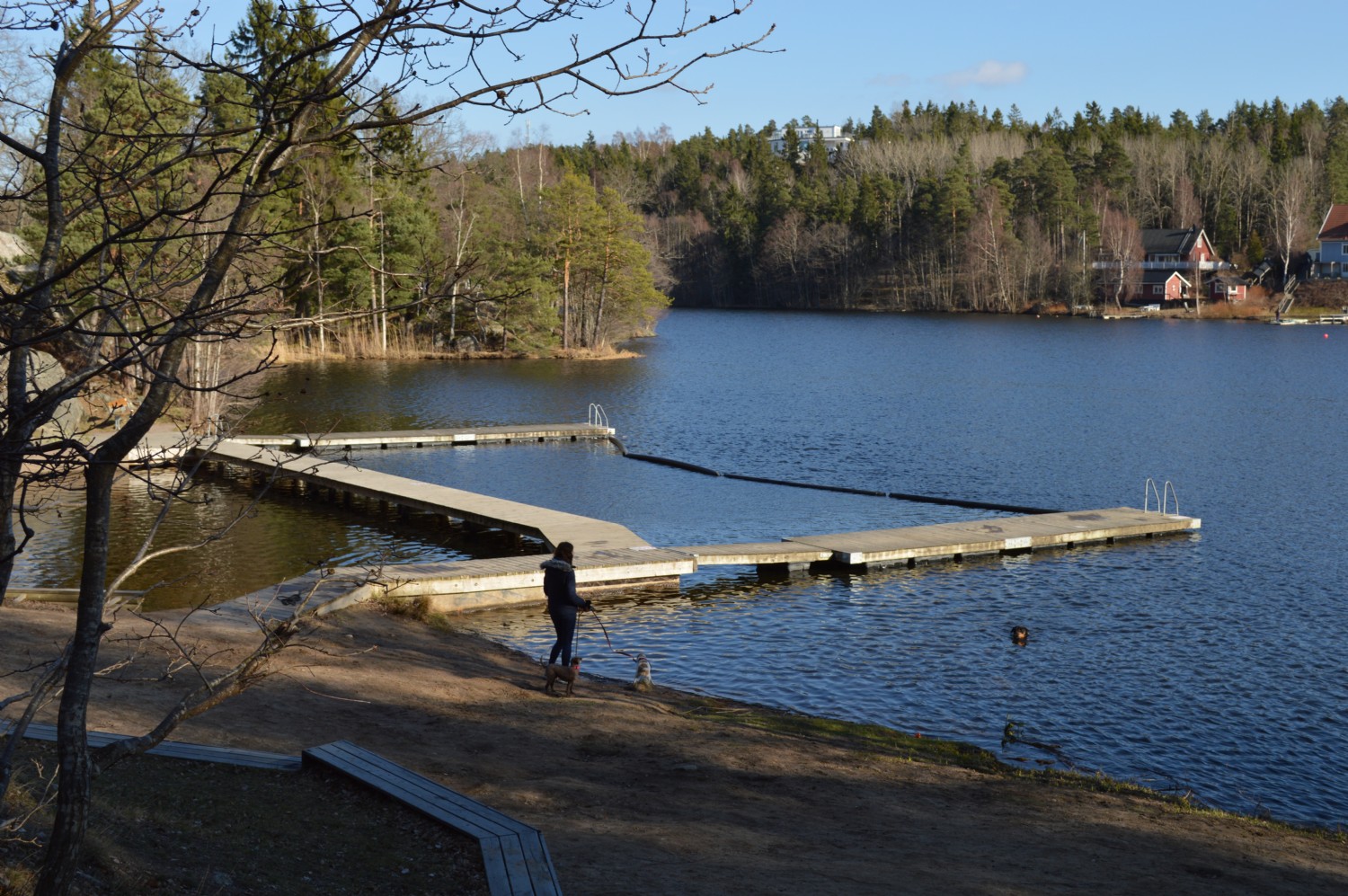 Badplats Bagarsjön/ Swimming area and beach Bagarsjön