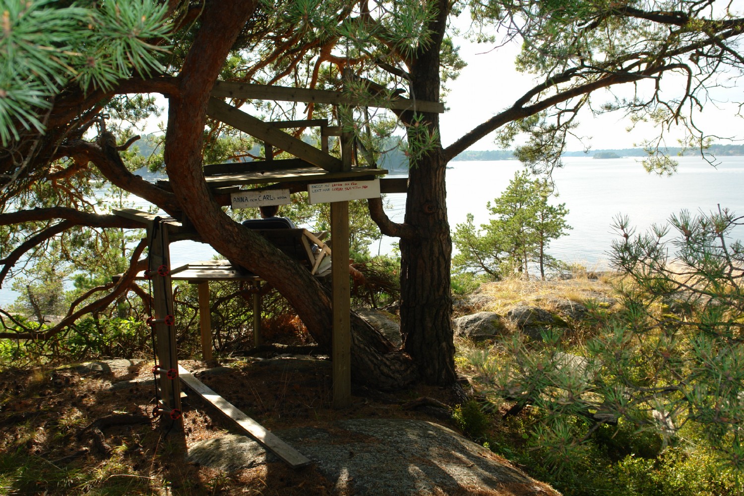 Träkoja med utsikt / View from the treehouse