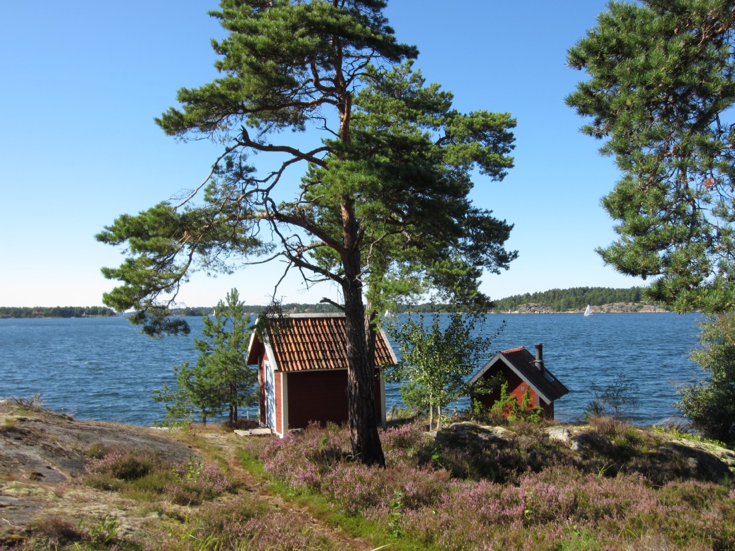 Gästhuset & bastuhus / Guesthouse and sauna house