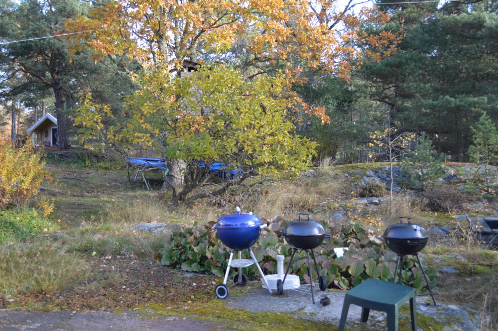 Naturtomt, grillar, studsmatta / BBQ and trampolin in the garden 