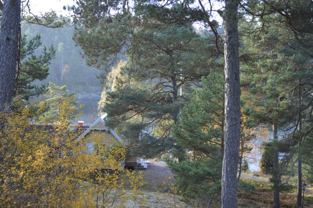 Sjöutsikt / Sea view