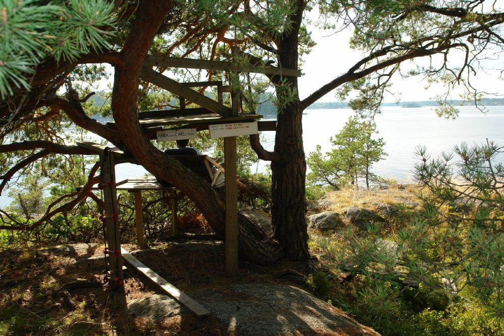 Träkoja med utsikt / View from the treehouse
