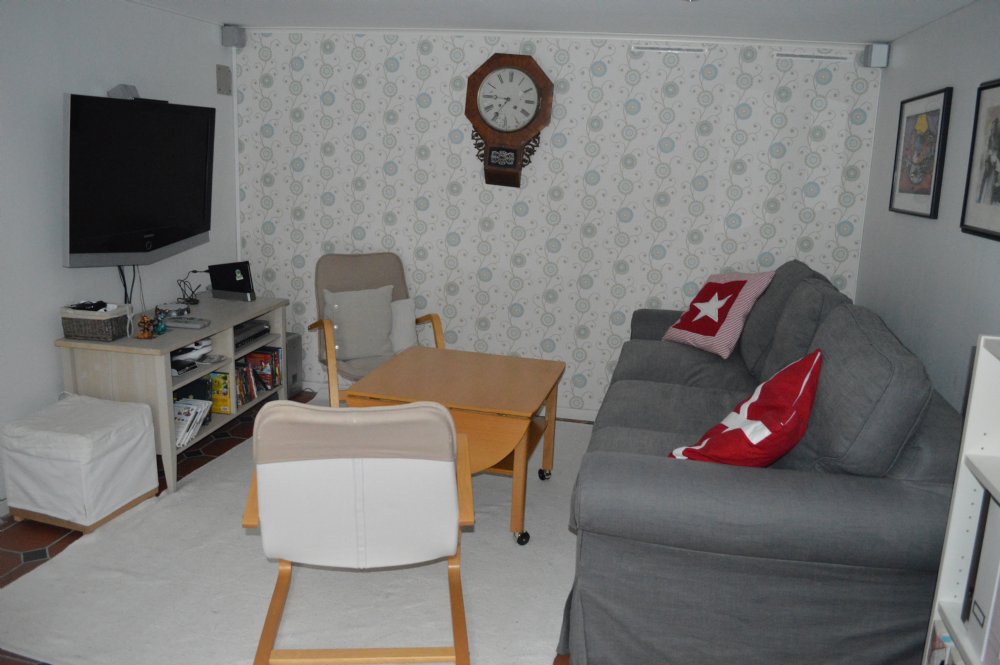 Sällskapsyta, Bäddsoffa/ Sitting area, Bed sofa