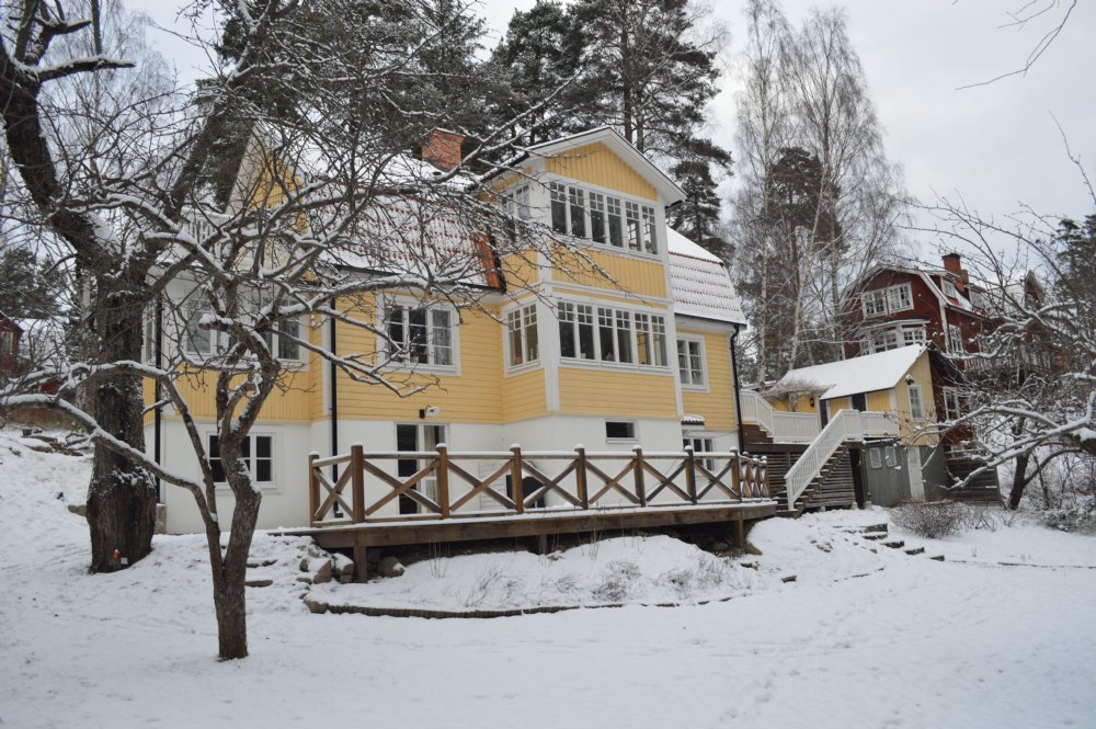 Vinter bild / Winter picture