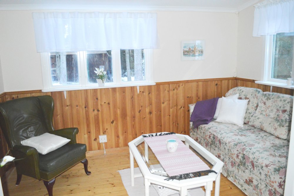 Vardagsrum bäddsoffa/ Living room bed sofa