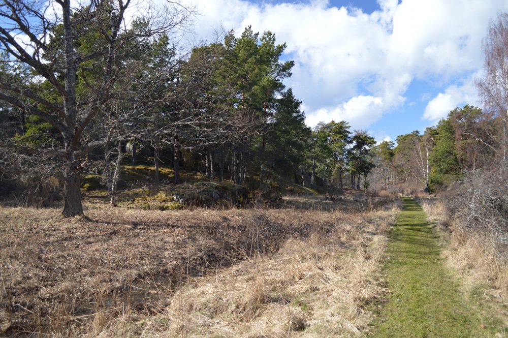 Vägen till huset/ Foot path to the house