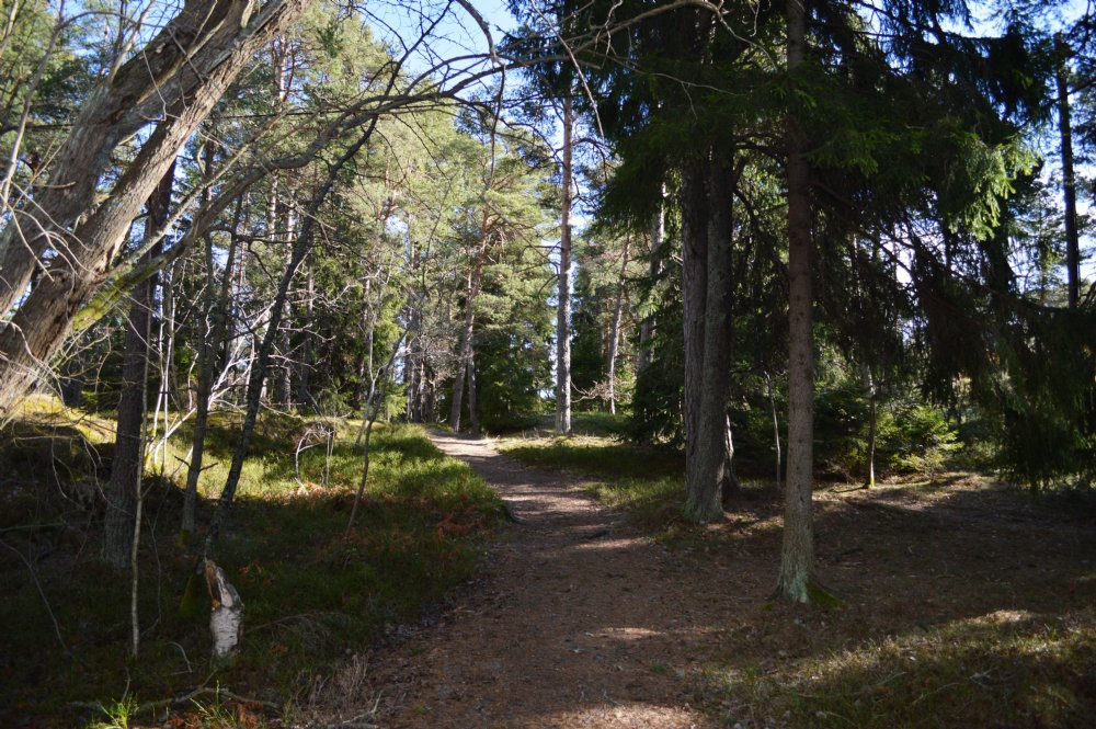Vägen till huset/ Foot path to the house