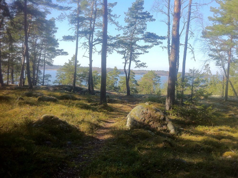 Stor skogstomt/ Private plot of land 