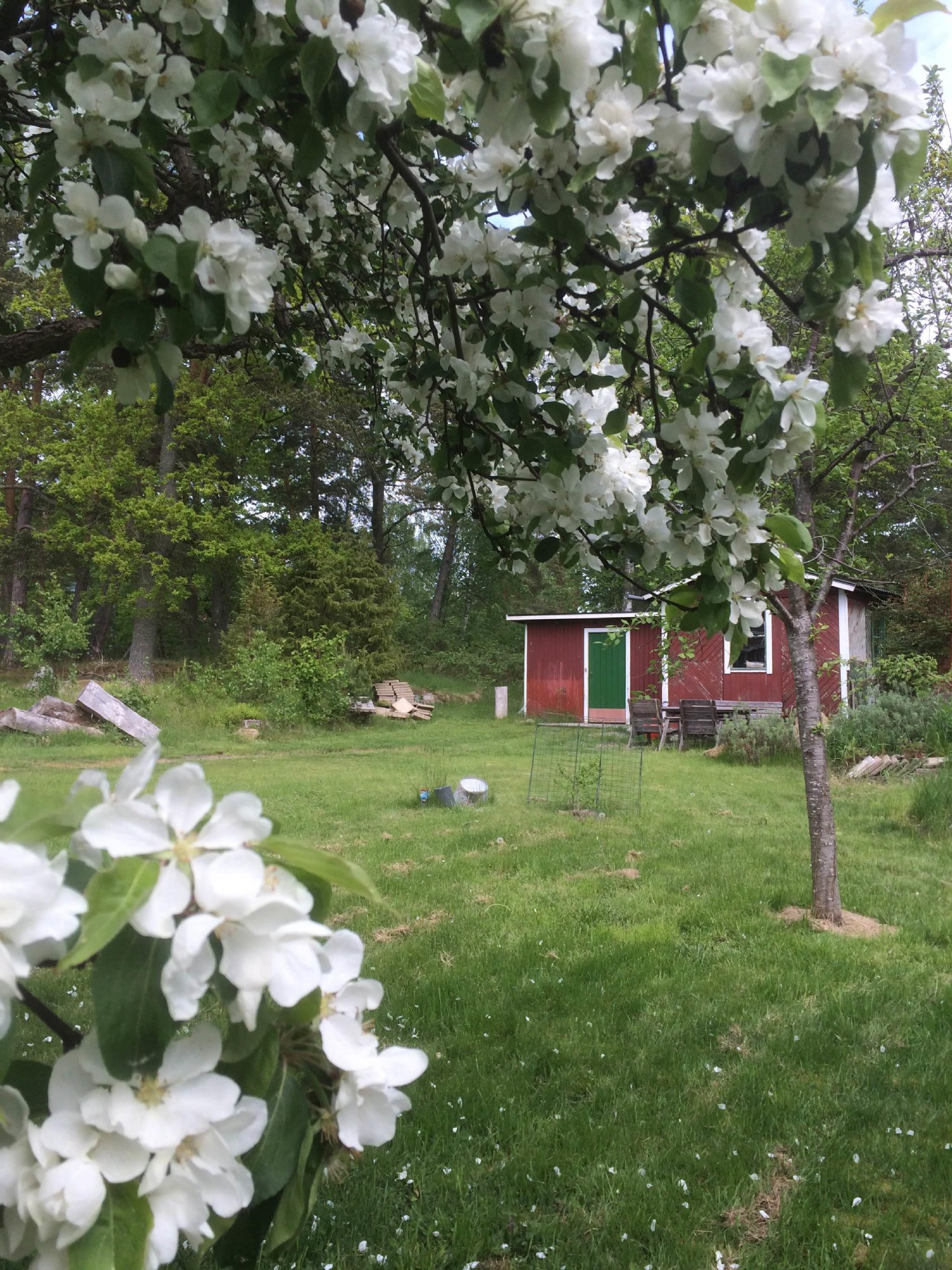 Trädgården/ Garden