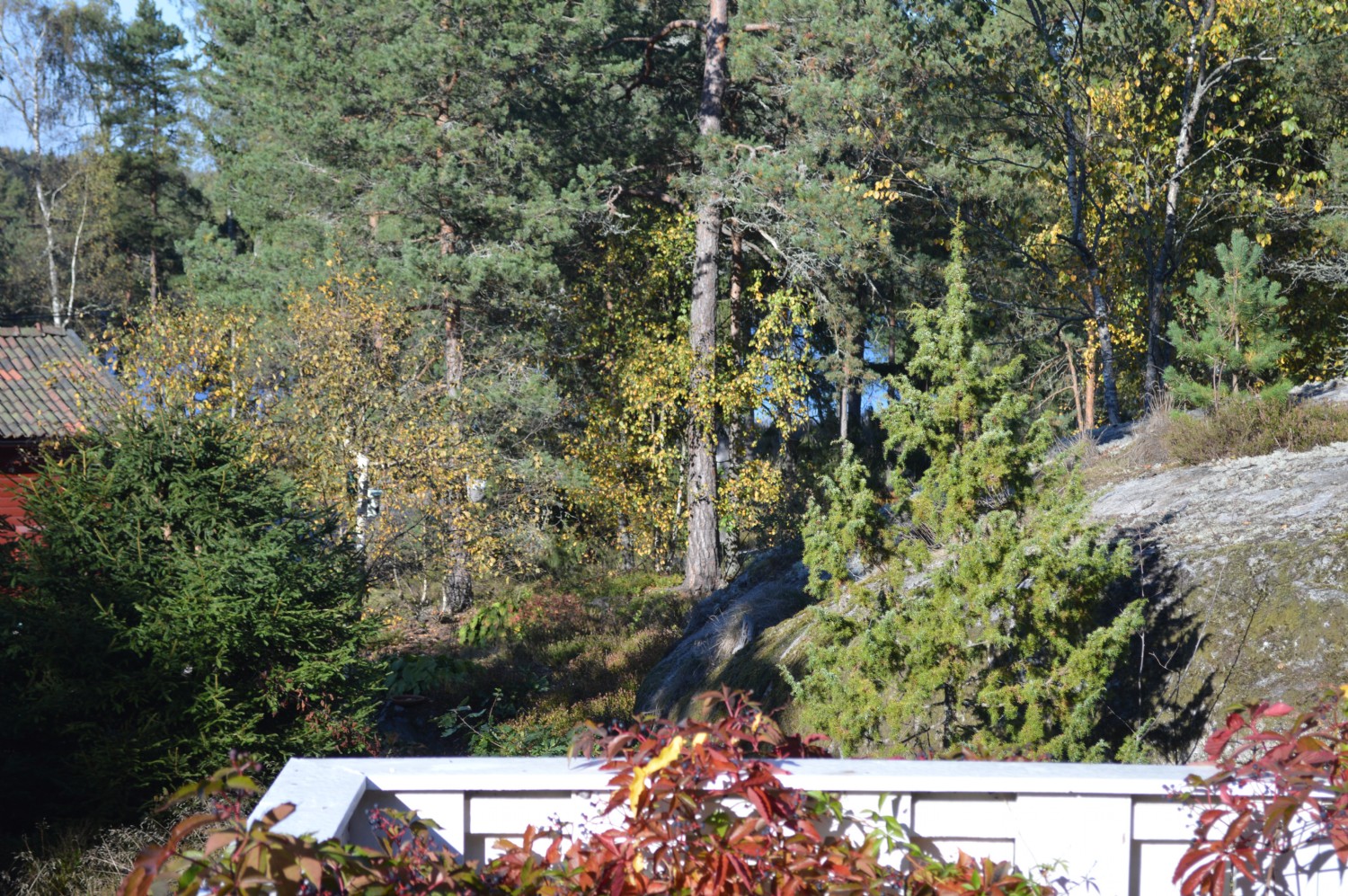 Liten sjglimt frn altanen/ Tiny sea glimpse from the terrace 