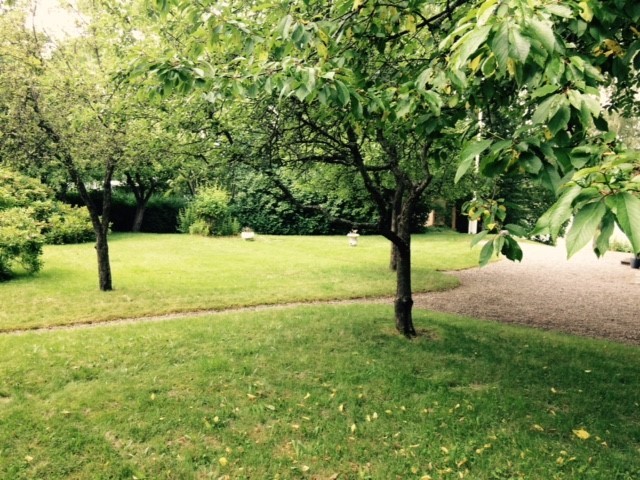Trädgård/ Garden