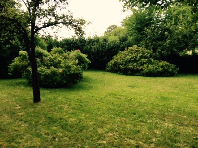 Trädgård/ Garden