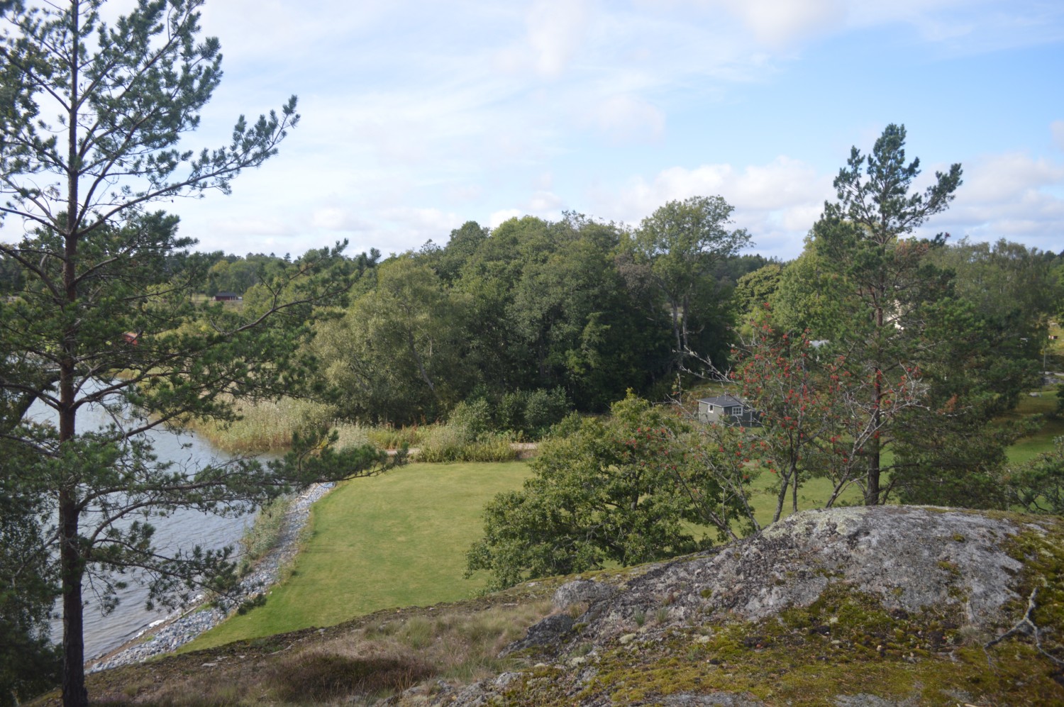 Vy från gäststugan. Träd tas ned för panorama sjöutsikt/ View guest house, trees will be taken down to open up for panoramic sea view