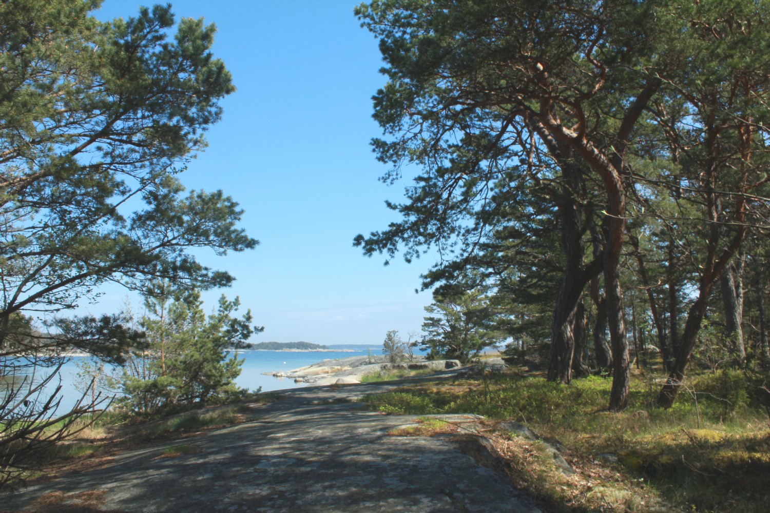 Havsvik/ Sea bay 