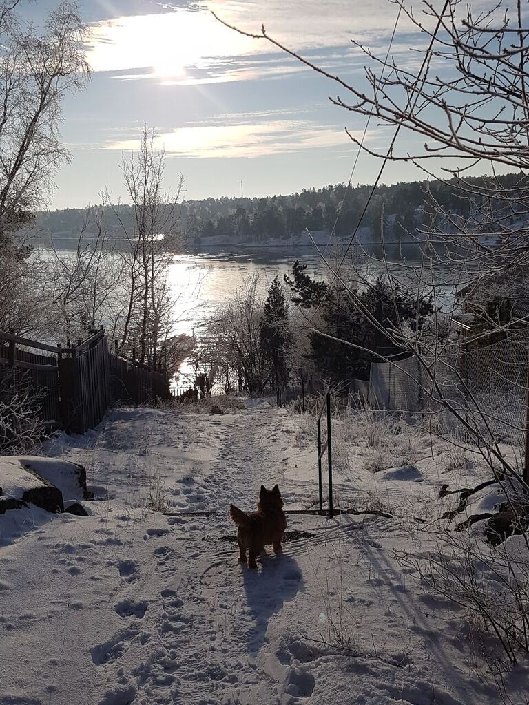 Promenad till Abborrkrogen/ Walk to Abborrkrogen