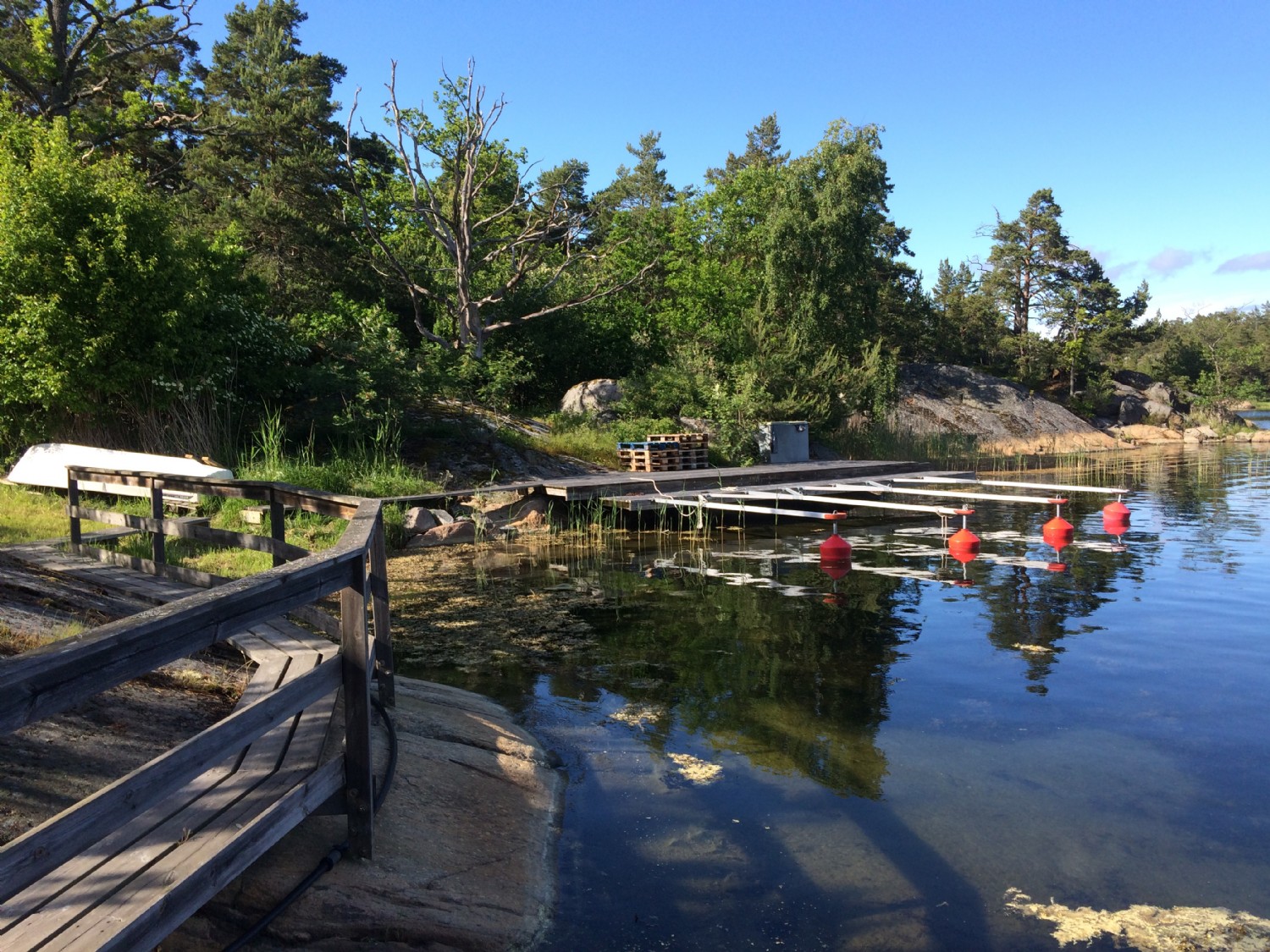 Viken i Österläge nedan huset/ The bay down the house facing east