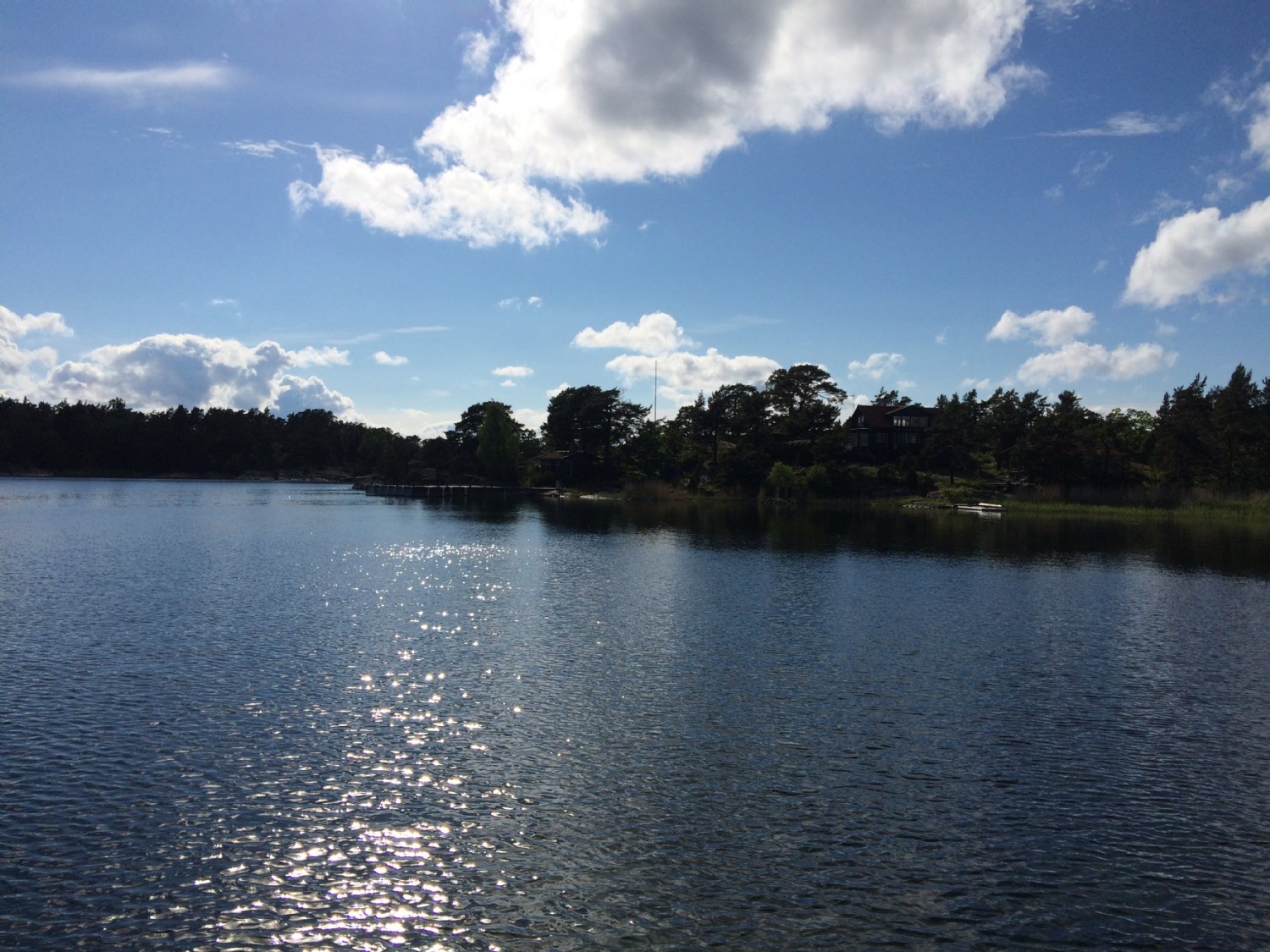 Viken i vster nedan huset/ The bay below the house 