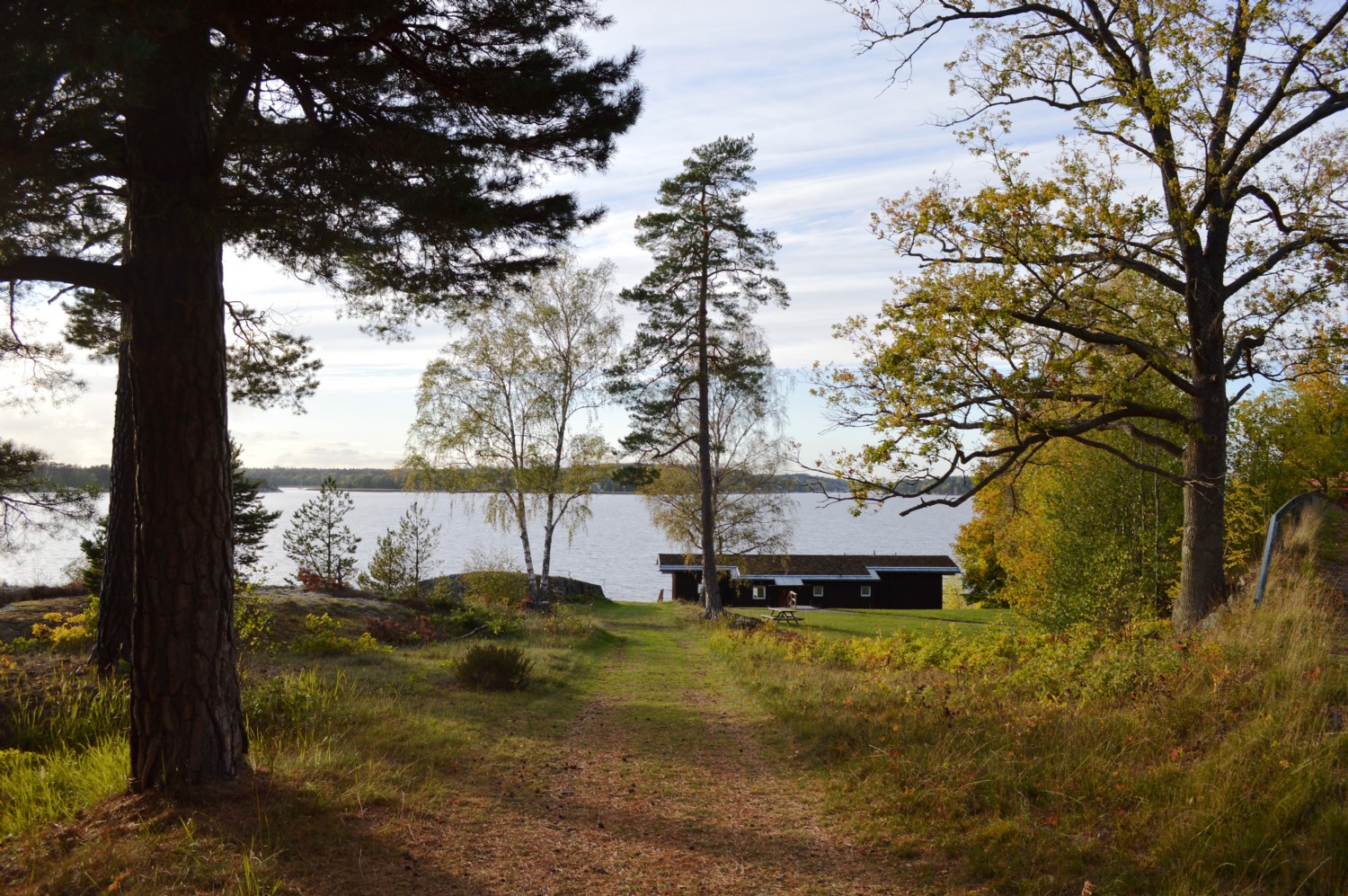 Bastuhuset/ Sauna house 