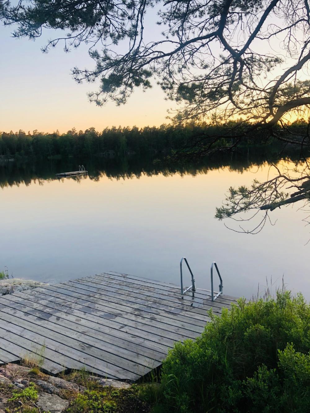 Njut av ett bad i skogssjön/ Enjoy swimming in the forest lake