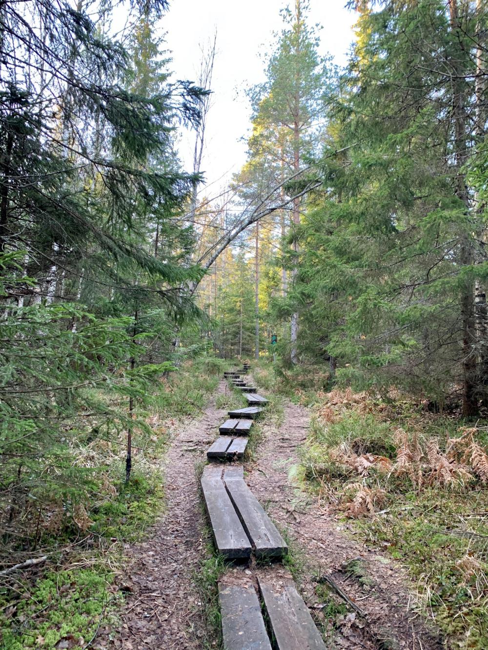 Tyresta nationalpark/ Hiking trails in the Tyresta Nature reserve 