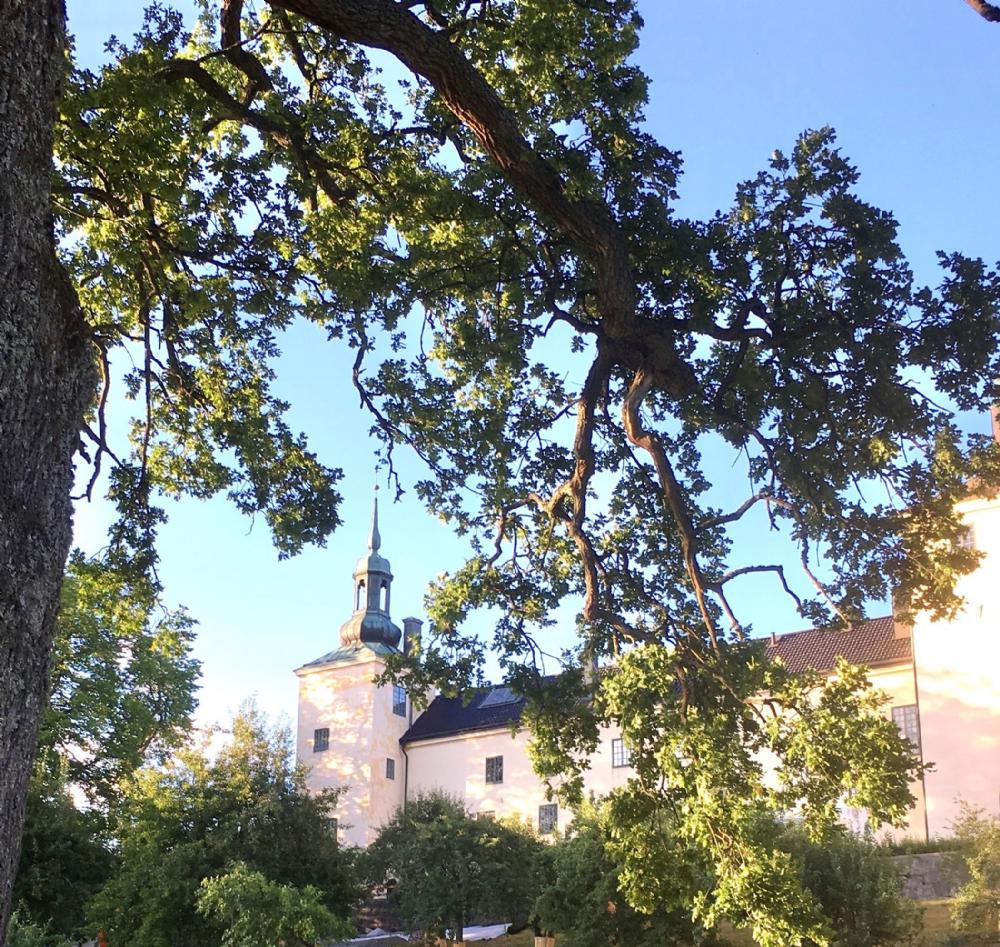 Tyresö Slott/ Castle 