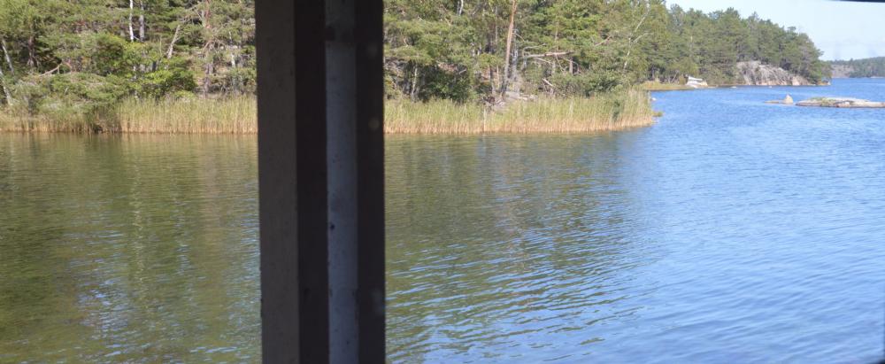 Utsikt bastufönster/View sauna window