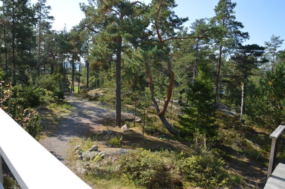 Bilvg upp till huset/ Way up to the house by car 