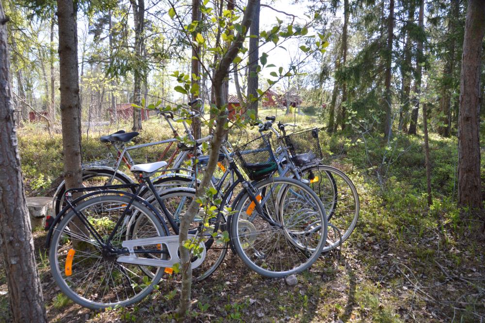 2-4 cyklar att l�na/ 2-4 bikes to borrow&nbsp;