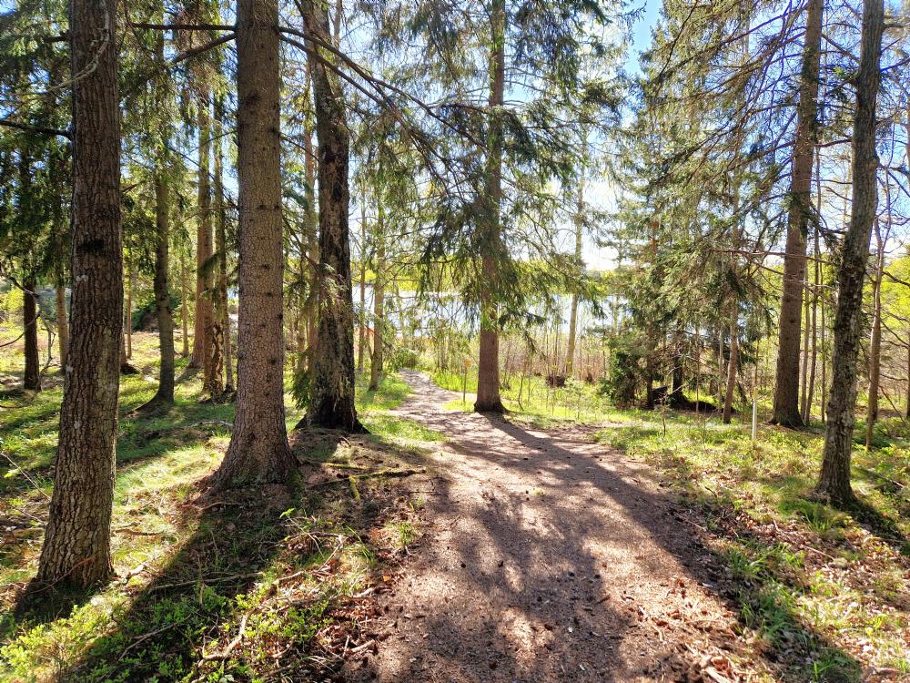 Stig ner till sjön och badplats/ Path to the lake and beach