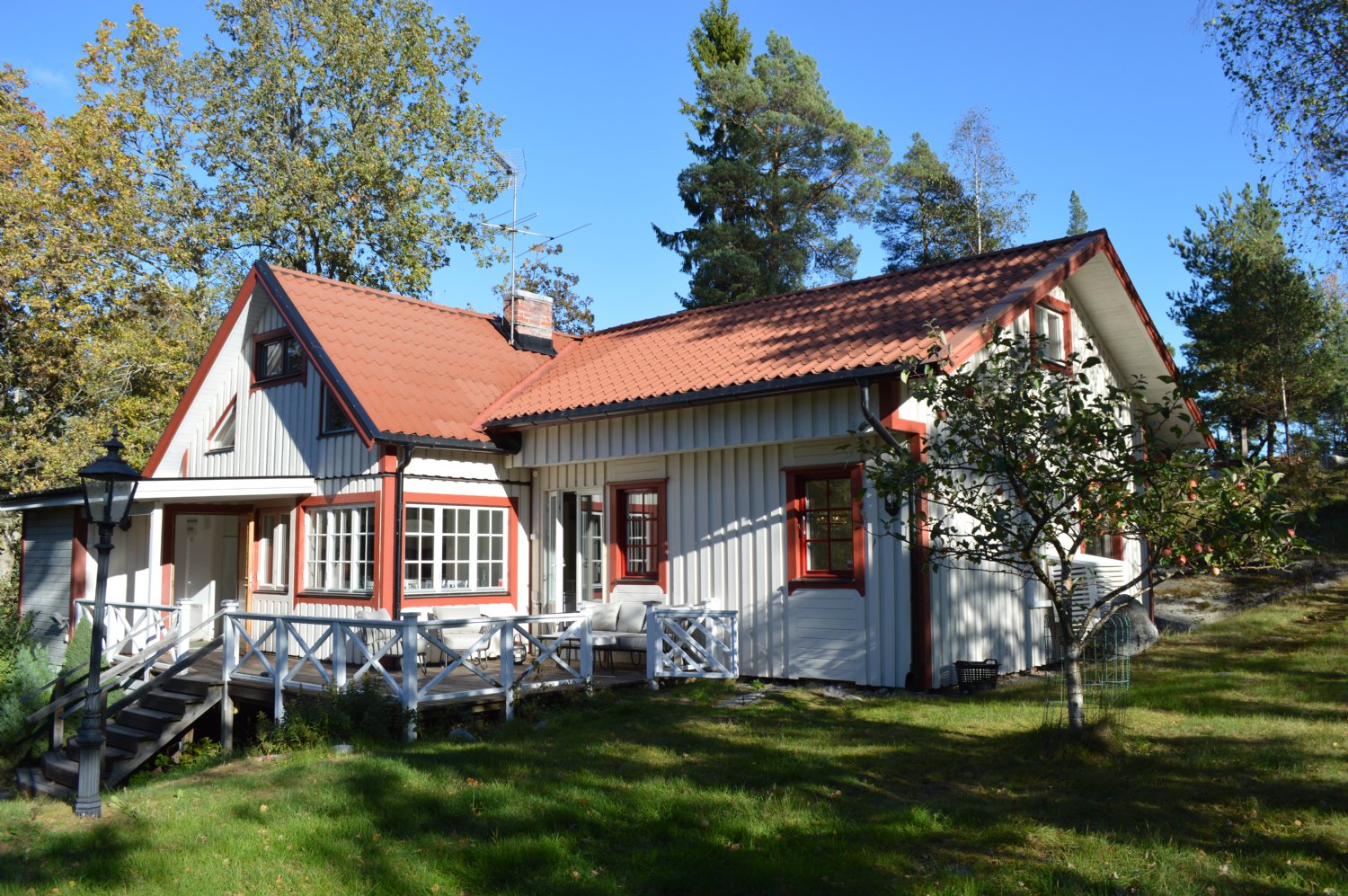 Majngen, Saltar